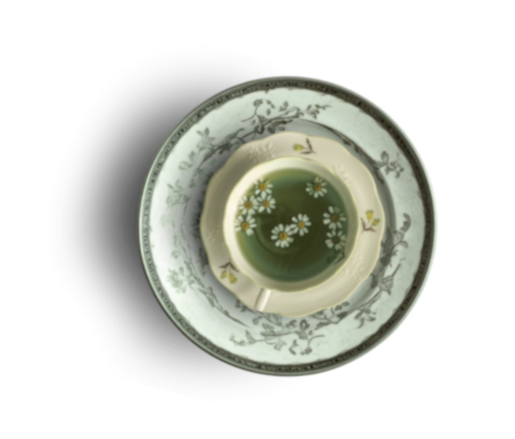 Teacup with Daisies